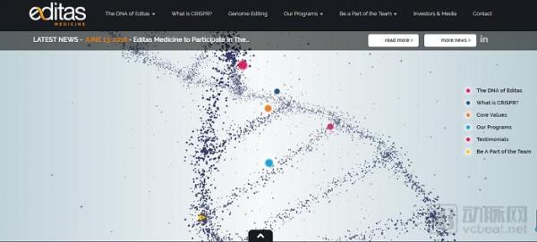 8家值得关注的基因编辑公司：基因大牛的创业项目，涵盖罕见病治疗到器官移植