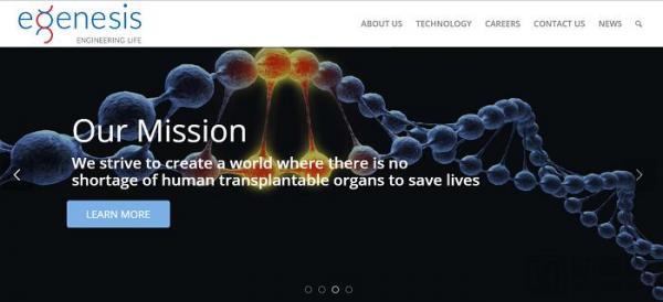 8家值得关注的基因编辑公司：基因大牛的创业项目，涵盖罕见病治疗到器官移植