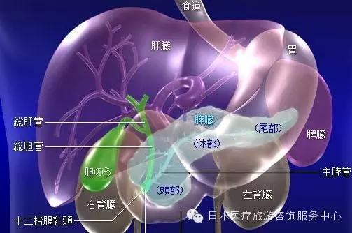 JMT丨癌症之王-胰腺癌 放射线治疗简介 