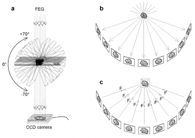 结构生物学的下一个突破：cryo-ET