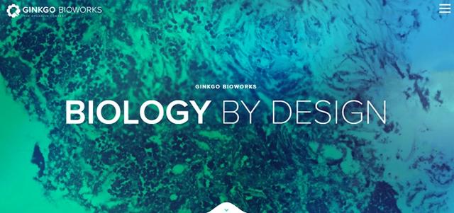 蛋白质魔术师:为多个行业打开新市场的蛋白质工程公司 蛋白质魔术师:为多个行业打开新市场的蛋白质工程公司