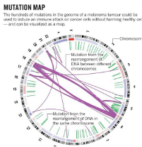 疫苗屡陷罗生门，AI能为疫苗做点什么？