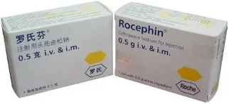 125岁的罗氏制药，如何成为全球抗癌药神？