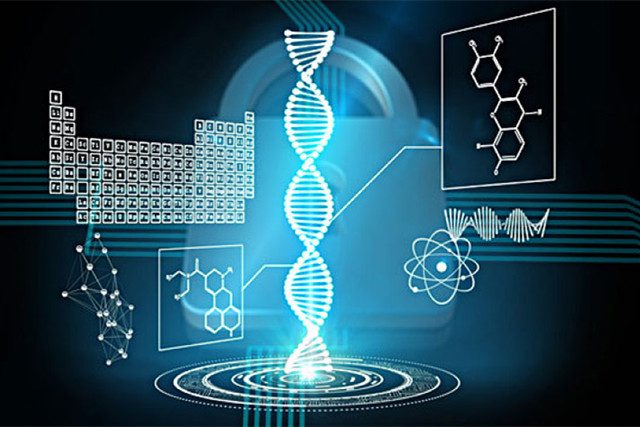 肥胖也会影响寿命，腰围成重要因素？美学者发现寿命干预新物质