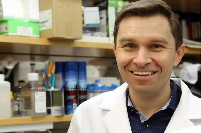 肥胖也会影响寿命，腰围成重要因素？美学者发现寿命干预新物质