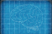 重磅研究！中国首创人脑驱动机器人