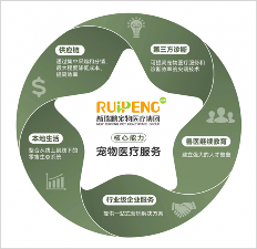 中国“宠物医疗第一股”,资本催肥的又一个泡沫?