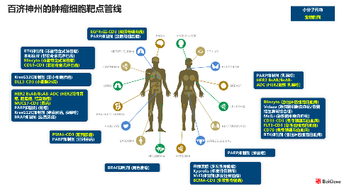 16055276312422.png 1.png.png