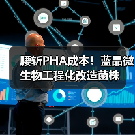 腰斩PHA成本！蓝晶微生物工程化改造菌株（图1）