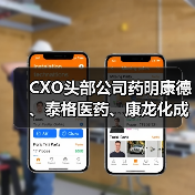 CXO头部公司药明康德、泰格医药、康龙化成实力几何？（图3）