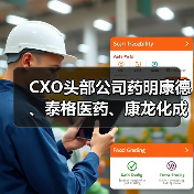 CXO头部公司药明康德、泰格医药、康龙化成实力几何？（图4）