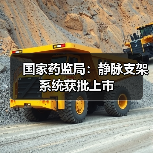 国家药监局:静脉支架系统获批上市(图2) 国家药监局:静脉支架系统获批上市(图2)