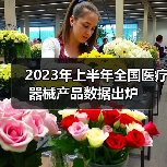 2023年上半年全国医疗器械产品数据出炉（图4）