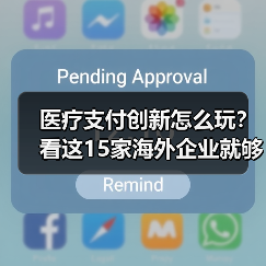 医疗支付创新怎么玩?看这15家海外企业就够了(图3) 医疗支付创新怎么玩?看这15家海外企业就够了(图3)