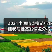 2021中国肺炎疫苗行业现状与批签发情况分析 新冠病毒灭活疫苗上市(图2) 2021中国肺炎疫苗行业现状与批签发情况分析 新冠病毒灭活疫苗上市(图2)