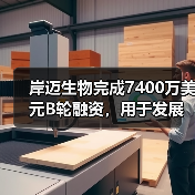 岸迈生物完成7400万美元B轮融资,用于发展和推进公司新型双特异性抗体的临床开发(图2) 岸迈生物完成7400万美元B轮融资,用于发展和推进公司新型双特异性抗体的临床开发(图2)