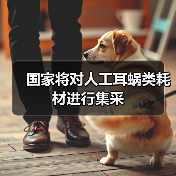 国家将对人工耳蜗类耗材进行集采(图2) 国家将对人工耳蜗类耗材进行集采(图2)