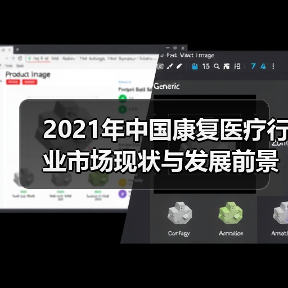2021年中国康复医疗行业市场现状与发展前景分析(图4) 2021年中国康复医疗行业市场现状与发展前景分析(图4)