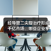 经导管二尖瓣治疗形成千亿市场,哪些企业拿到了入场券?(图4) 经导管二尖瓣治疗形成千亿市场,哪些企业拿到了入场券?(图4)
