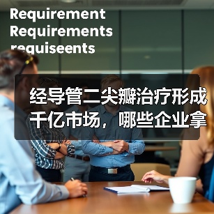 经导管二尖瓣治疗形成千亿市场,哪些企业拿到了入场券?(图2) 经导管二尖瓣治疗形成千亿市场,哪些企业拿到了入场券?(图2)