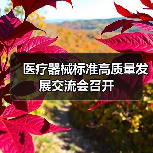 医疗器械标准高质量发展交流会召开（图4）