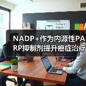 NADP+作为内源性PARP抑制剂提升癌症治疗效果(图4) NADP+作为内源性PARP抑制剂提升癌症治疗效果(图4)