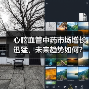 心脑血管中药市场增长迅猛,未来趋势如何?(图3) 心脑血管中药市场增长迅猛,未来趋势如何?(图3)