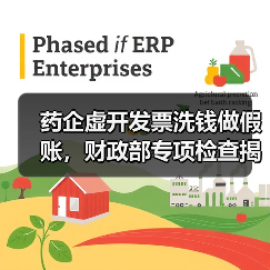 药企虚开发票洗钱做假账，财政部专项检查揭秘操作套路（图3）