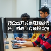 药企虚开发票洗钱做假账，财政部专项检查揭秘操作套路（图4）
