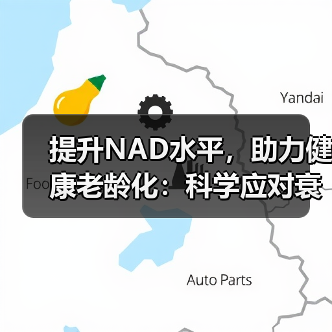 提升NAD水平,助力健康老龄化:科学应对衰老挑战(图3) 提升NAD水平,助力健康老龄化:科学应对衰老挑战(图3)