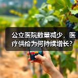 公立医院数量减少，医疗供给为何持续增长？（图2）