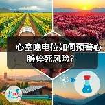 心室晚电位如何预警心脏猝死风险？（图2）