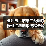 省外已上市第二类医疗器械注册申报流程全解析（图4）