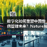 数字化如何重塑中国慢病管理未来？Nature揭示转型路径（图1）