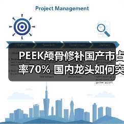PEEK颅骨修补国产市占率70% 国内龙头如何突围？（图3）