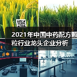 2021年中国中药配方颗粒行业龙头企业分析（图2）
