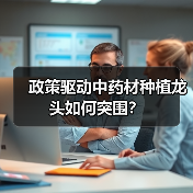 政策驱动中药材种植龙头如何突围？（图2）