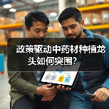 政策驱动中药材种植龙头如何突围？（图1）