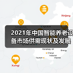 2021年中国智能养老设备市场供需现状及发展趋势分析（图1）
