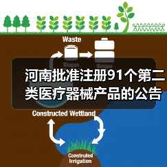 河南批准注册91个第二类医疗器械产品的公告（2024年8月）（图2）