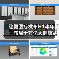 稳健医疗发布H1半年报:布局十万亿大健康赛道(图3) 稳健医疗发布H1半年报:布局十万亿大健康赛道(图3)