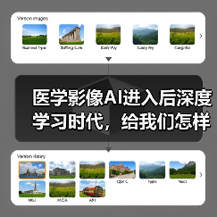 医学影像AI进入后深度学习时代，给我们怎样的想象（图3）