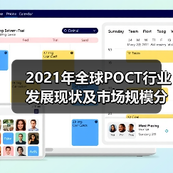 2021年全球POCT行业发展现状及市场规模分析(图3) 2021年全球POCT行业发展现状及市场规模分析(图3)