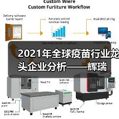 2021年全球疫苗行业龙头企业分析——辉瑞（图2）