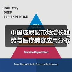 中国玻尿酸市场增长趋势与医疗美容应用分析(图4) 中国玻尿酸市场增长趋势与医疗美容应用分析(图4)