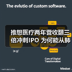 推想医疗两年营收翻三倍冲刺IPO 为何能从肺结节走向AI全场景？（图3）