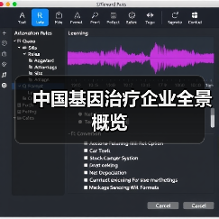 中国基因治疗企业全景概览(图3) 中国基因治疗企业全景概览(图3)