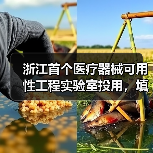 浙江首个医疗器械可用性工程实验室投用,填补空白助力安全(图1) 浙江首个医疗器械可用性工程实验室投用,填补空白助力安全(图1)