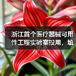 浙江首个医疗器械可用性工程实验室投用,填补空白助力安全(图3) 浙江首个医疗器械可用性工程实验室投用,填补空白助力安全(图3)
