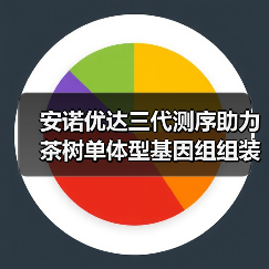 安诺优达三代测序助力茶树单体型基因组组装及演化史解析（图4）